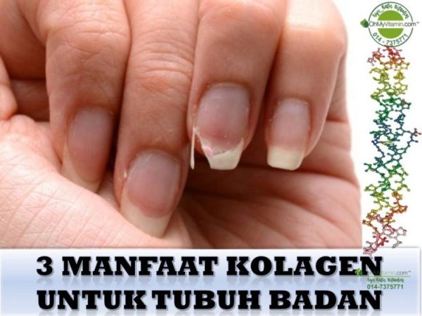 3 MANFAAT KOLAGEN UNTUK BADAN YANG SIHAT, CANTIK DAN BERTENAGA