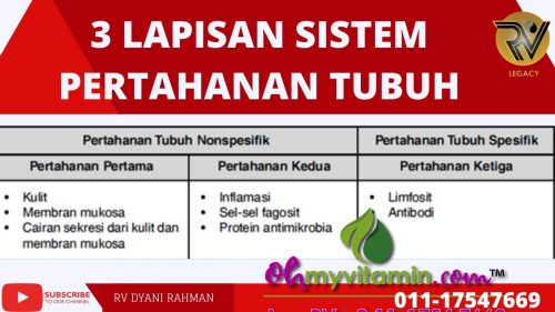 MAKANAN TINGKATKAN SISTEM IMUNISASI