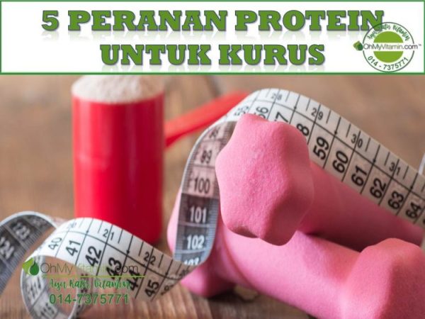 5 PERANAN PROTEIN UNTUK KURUS DENGAN CEPAT