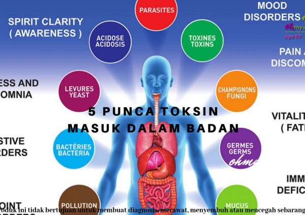 5 PUNCA TOKSIN MASUK DALAM BADAN