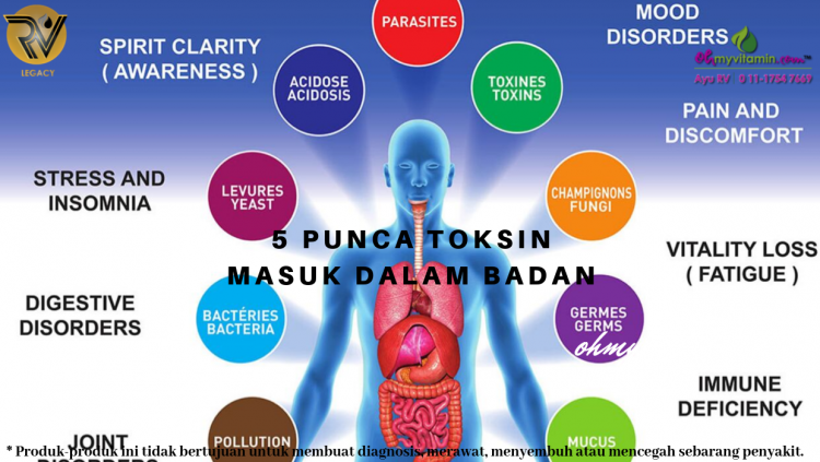 5 PUNCA TOKSIN MASUK DALAM BADAN