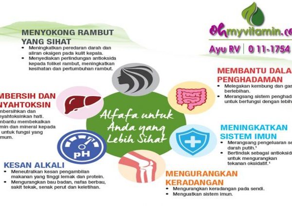 6 MANFAAT ALFALFA UNTUK KESIHATAN