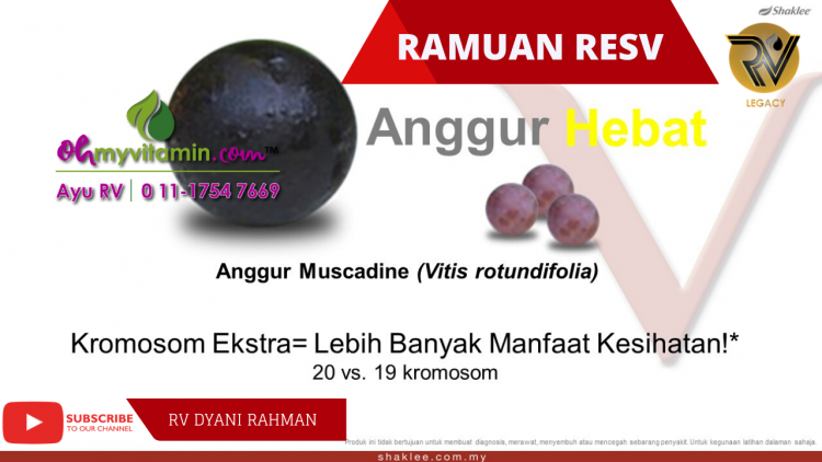B. ANGGUR MUSCADINE DALAM RESV