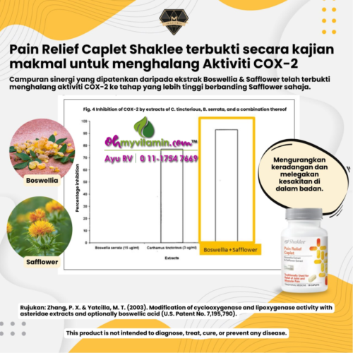 BAGAIMANA PAIN RELIEF CAPLET MENGHALANG AKTIVITI COX-2