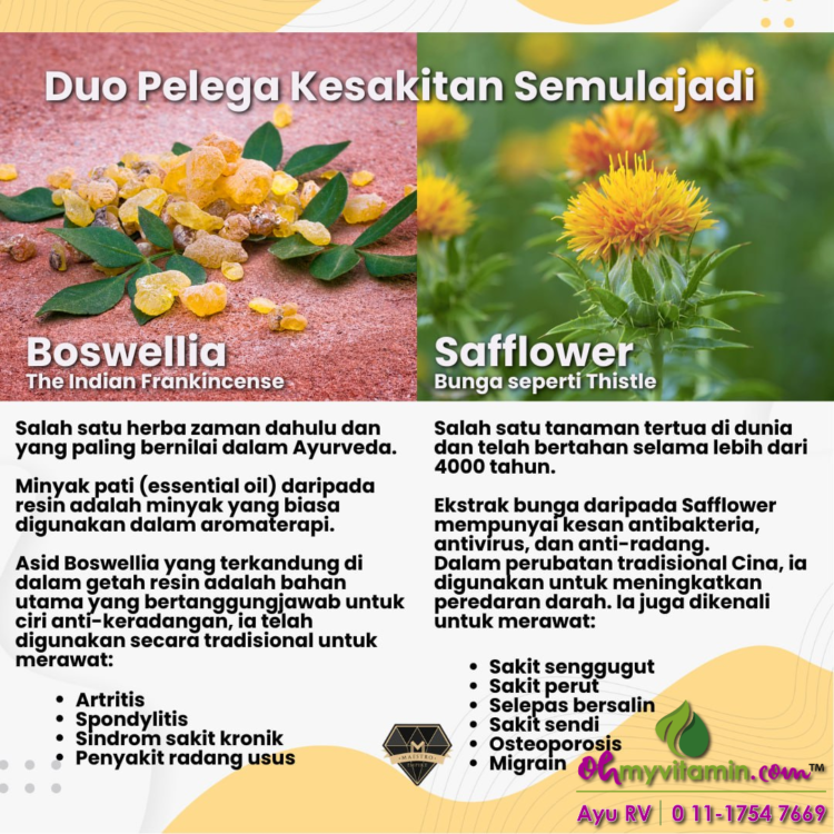 KANDUNGAN UTAMA PAIN RELIEF CAPLET SHAKLEE