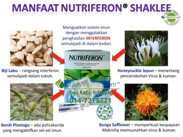 4 CARA TINGKATAN SISTEM IMUN BADAN AGAR SUKAR DISERANG PENYAKIT