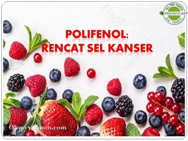 POLIFENOL MERENCAT SEL KANSER?