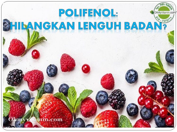 POLIFENOL HILANGKAN LENGUH BADAN?