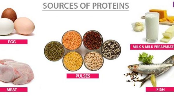 BENARKAH TAK CUKUP PROTEIN, MUKA CEPAT TUA DAN KEDUT? APA MANFAAT PROTEIN UNTUK KULIT CANTIK?