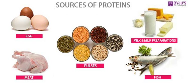 BENARKAH TAK CUKUP PROTEIN, MUKA CEPAT TUA DAN KEDUT? APA MANFAAT PROTEIN UNTUK KULIT CANTIK?