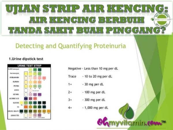 AIR KENCING BERBUIH DAN PROTEINURIA TANDA SAKIT BUAH PINGGANG. APA PUNCA DAN CARA RAWAT PROTEINURIA?