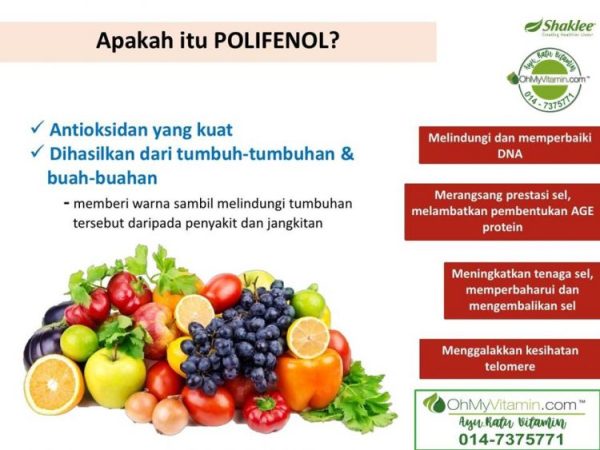 POLIFENOL BANTU ATASI MASALAH NYANYUK DAN TINGKATKAN MEMORI