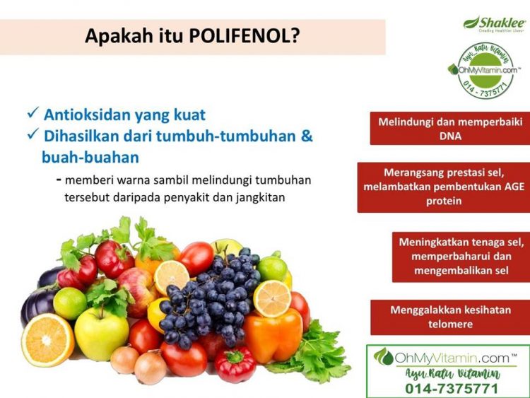 POLIFENOL BANTU ATASI MASALAH NYANYUK DAN TINGKATKAN MEMORI