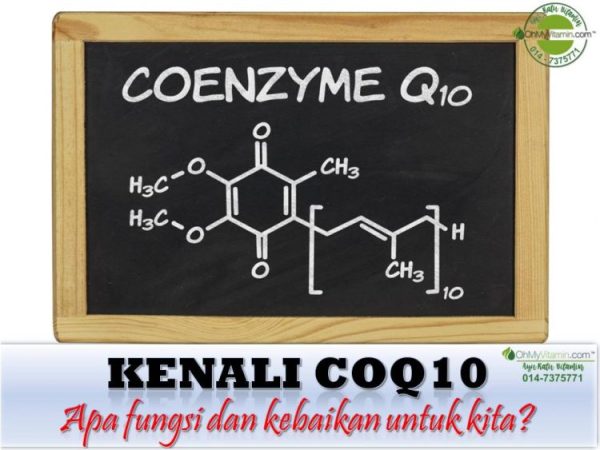 KENALI COQ10, SUMBER & MANFAAT COQ10 UNTUK BADAN