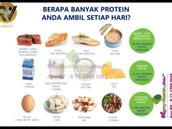 KEPERLUAN PROTEIN HARIAN BADAN