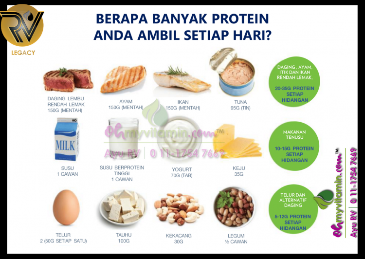 KEPERLUAN PROTEIN HARIAN BADAN