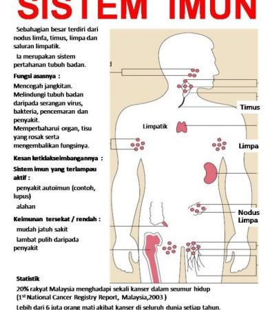 SET TINGKATKAN SISTEM IMUN SHAKLEE