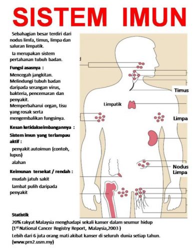SET TINGKATKAN SISTEM IMUN SHAKLEE